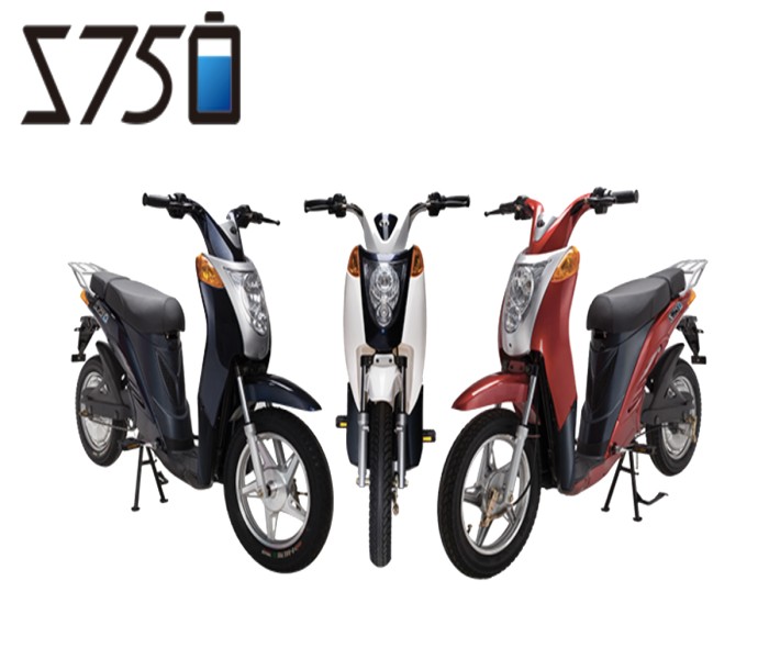 TERRA MOTORS E-BIKE S750 HOMY VARIANT
